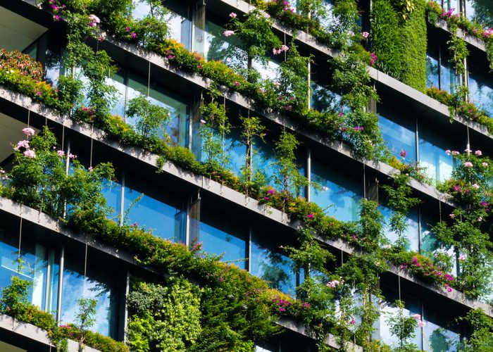 Aden Việt Nam nhận chứng nhận ISO 14001 với hệ thống Quản lý Môi trường