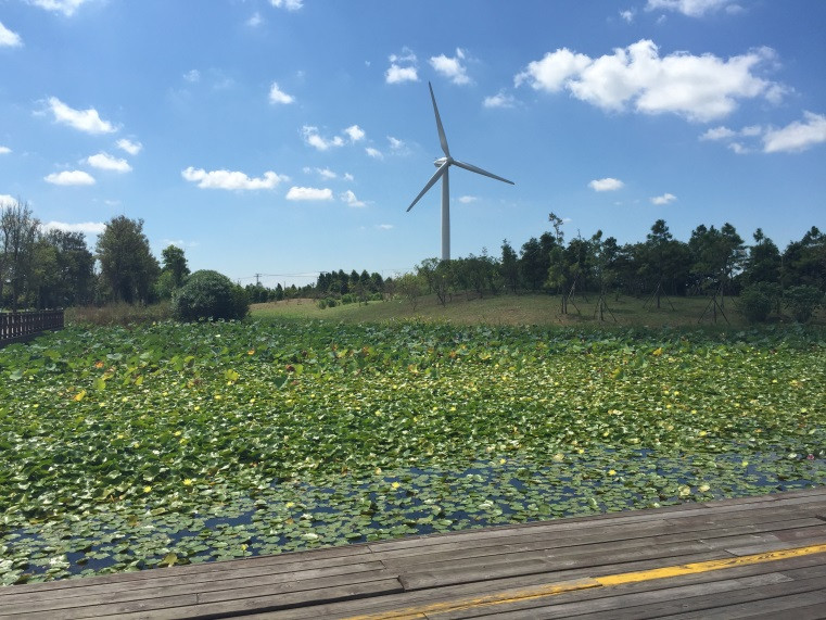 Green facility management and sustainable IFM at Dongtan Park 绿色设施管理和可持续的IFM在上海东自然保护区