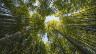 Aden China 2024 Sustainability Report: driving a sustainable future through low carbon and innovation